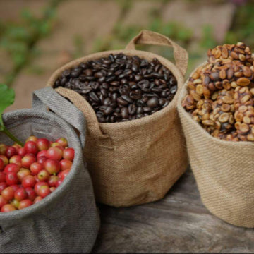 coffee beans raw - bunah coffee